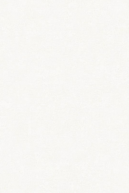 Background BOSFOR 889261